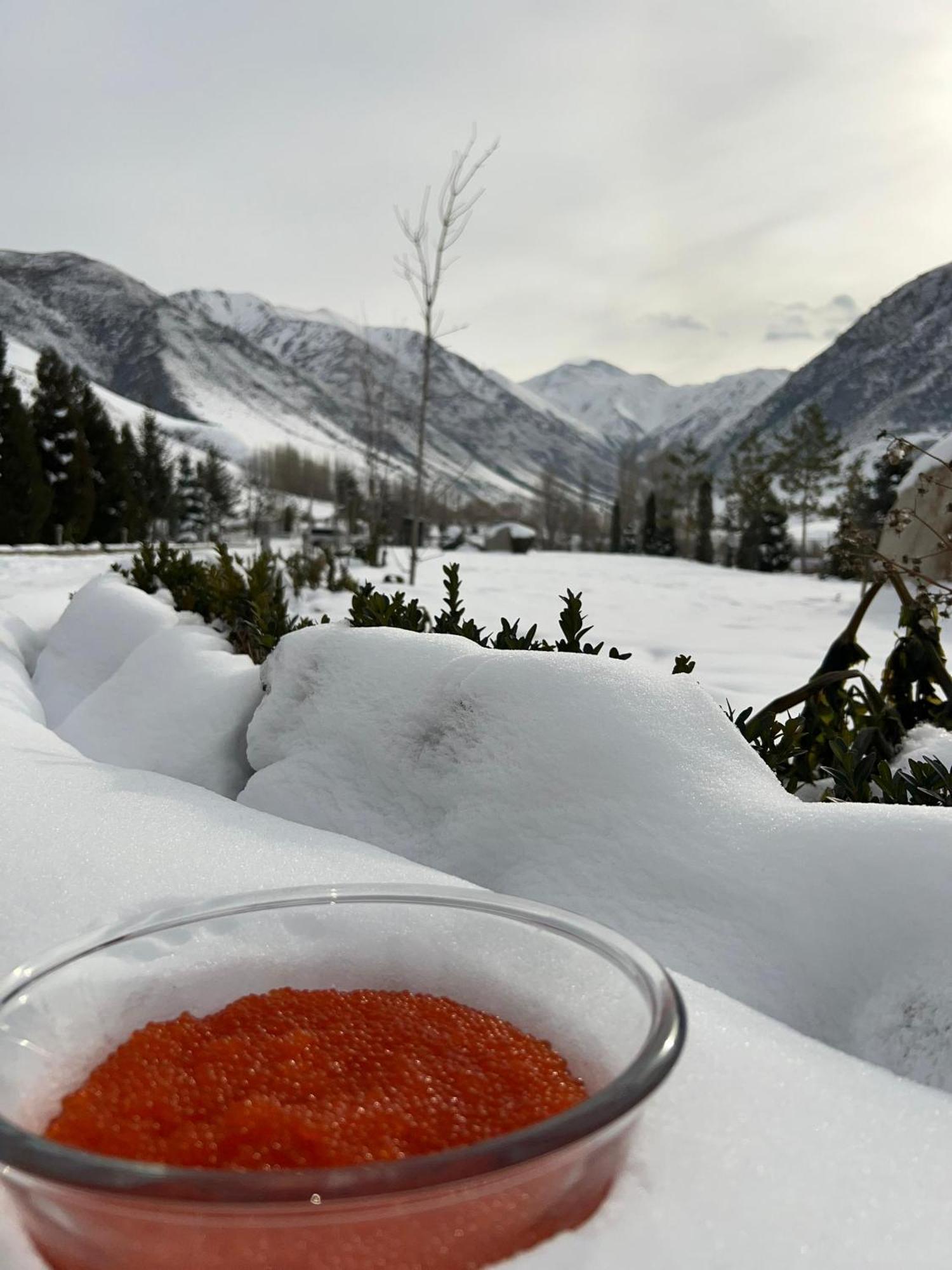 Mountain View Hot Spring Resort Бишкек Экстерьер фото